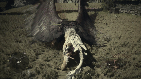 6 griffin enemies dragons dogma 2 wiki guide