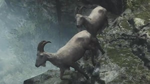 goat monsters dd2 wiki guide 300px min