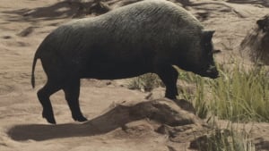 pig creatures and enemies dragons dogma 2 wiki guide 300px