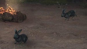 rabbit monsters dd2 wiki guide 300px min