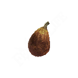 ripened fig curatives dragons dogma 2 wiki guide 156p