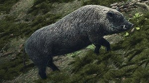wild boar monsters dd2 wiki guide 300px min